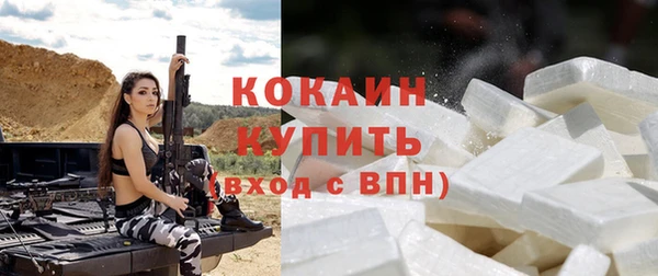 хмурый Арсеньев