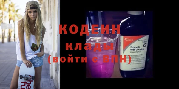 хмурый Арсеньев