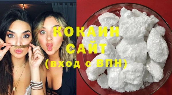 хмурый Арсеньев