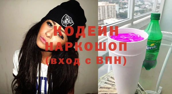 хмурый Арсеньев